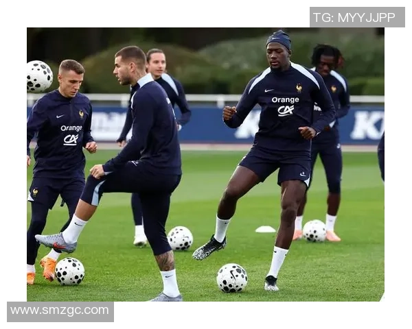 法国队男足球星介绍与成就分析全面解析